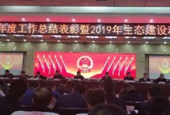 【荣誉】新蒲千亿体育登录入口|中国有限公司官网喜获中原区2018年度 经济社会发展作出突出贡献先进单位